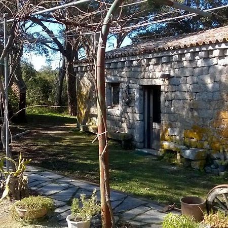 Agriturismo La Vigna Tempio Pausania Kültér fotó