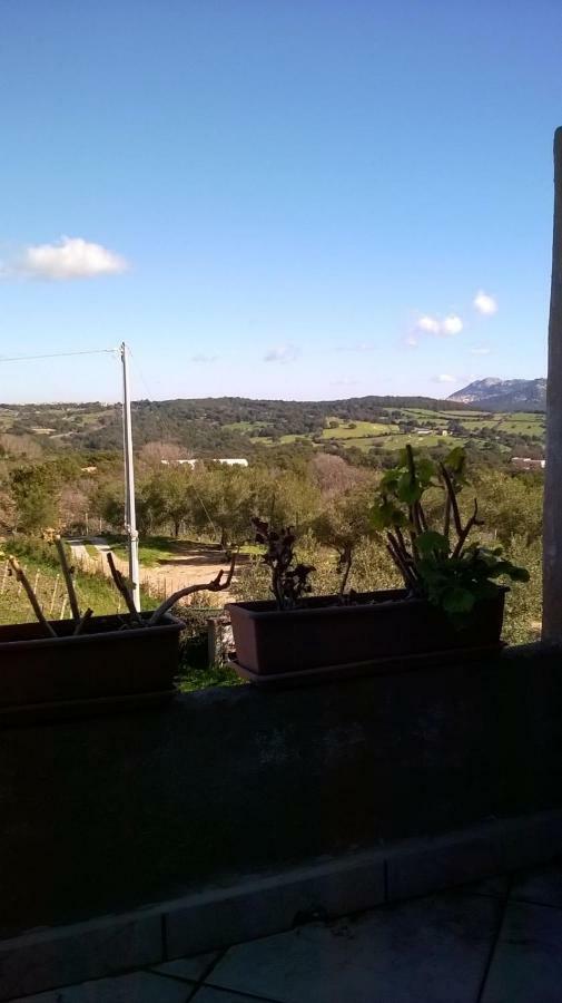 Agriturismo La Vigna Tempio Pausania Kültér fotó