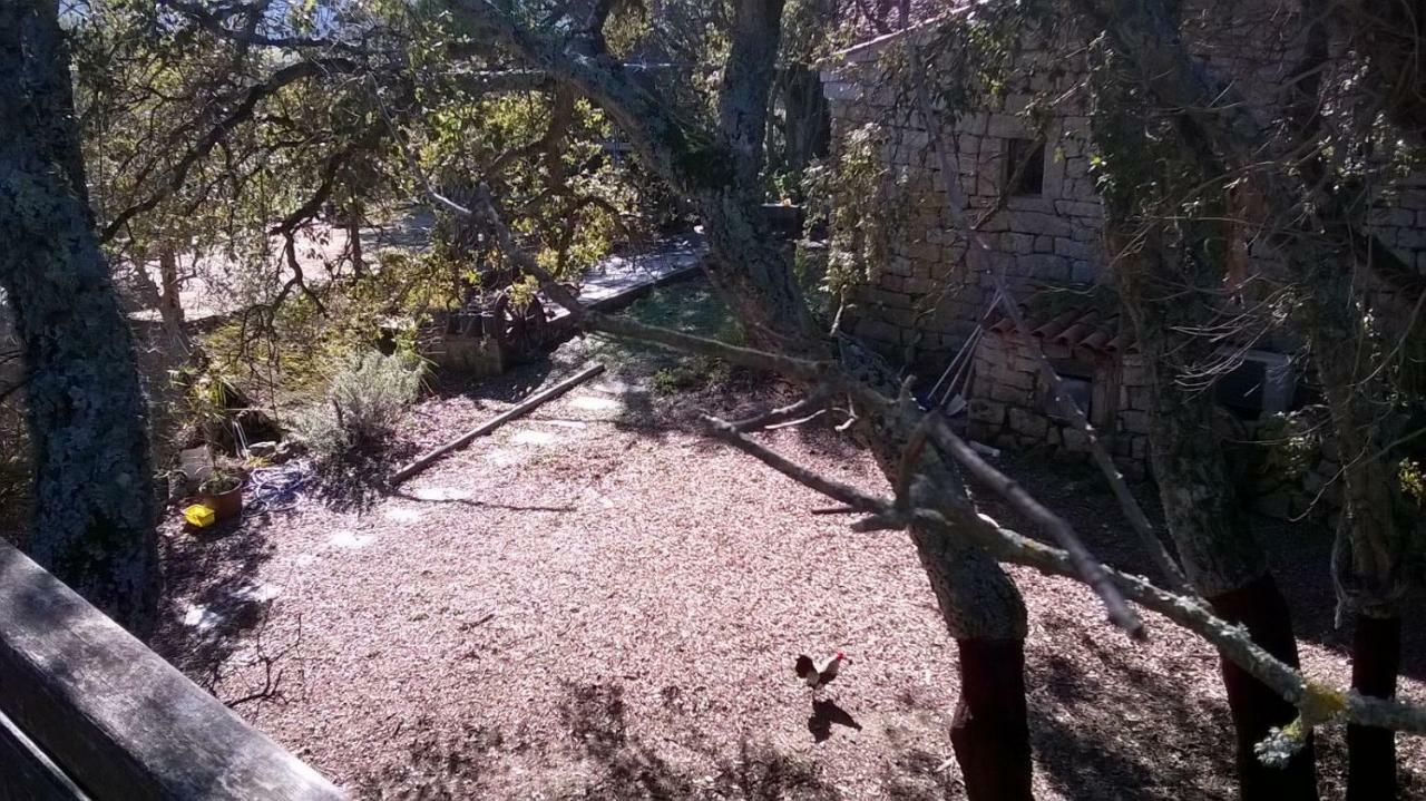 Agriturismo La Vigna Tempio Pausania Kültér fotó