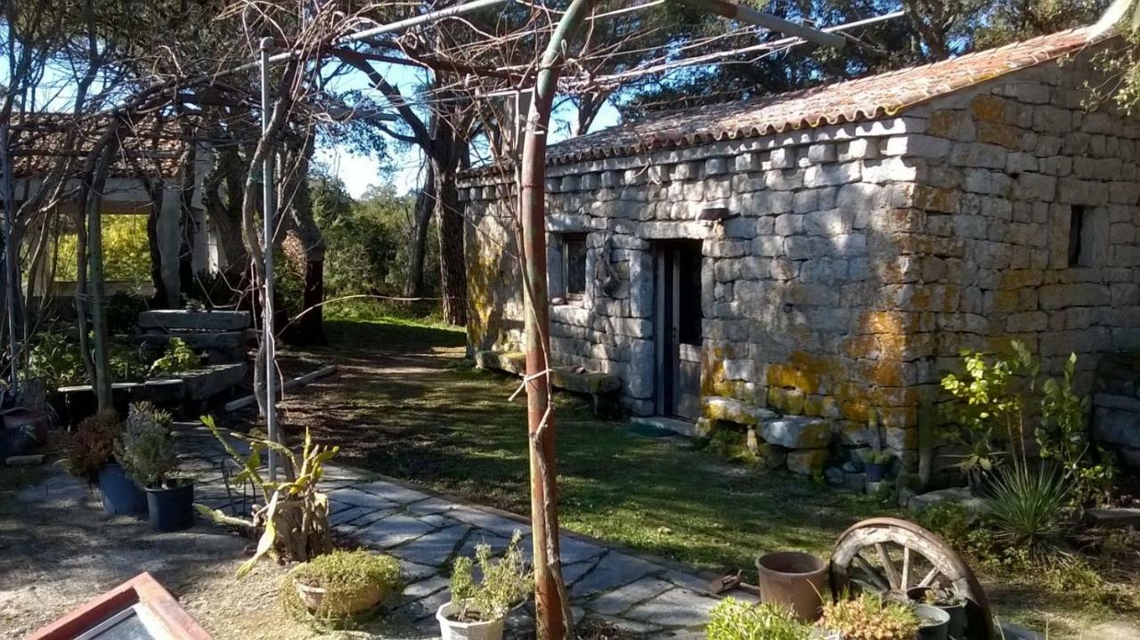 Agriturismo La Vigna Tempio Pausania Kültér fotó