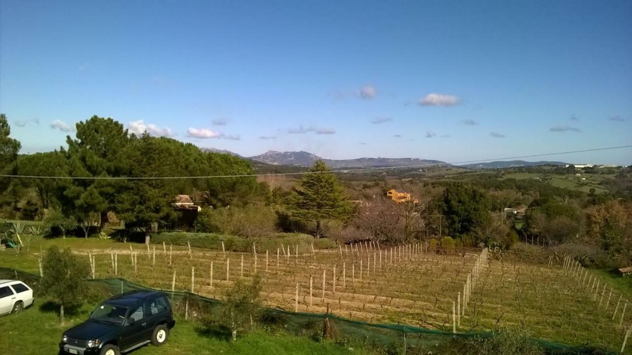 Agriturismo La Vigna Tempio Pausania Kültér fotó