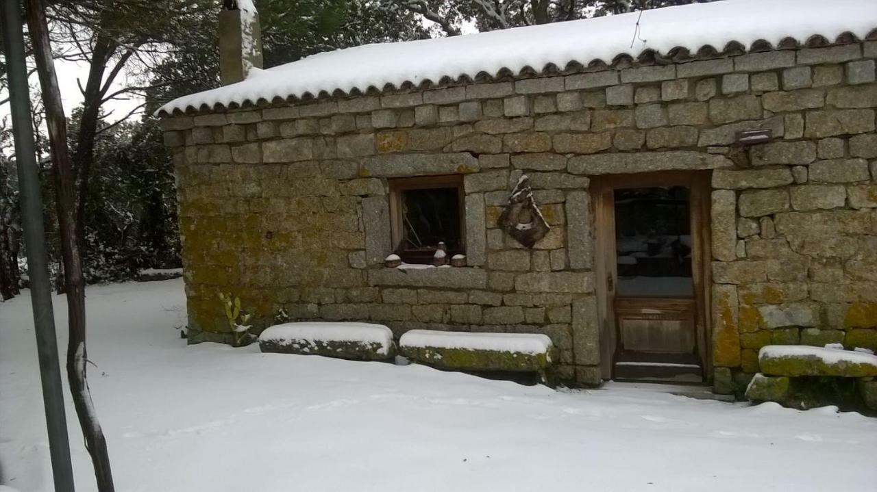 Agriturismo La Vigna Tempio Pausania Kültér fotó