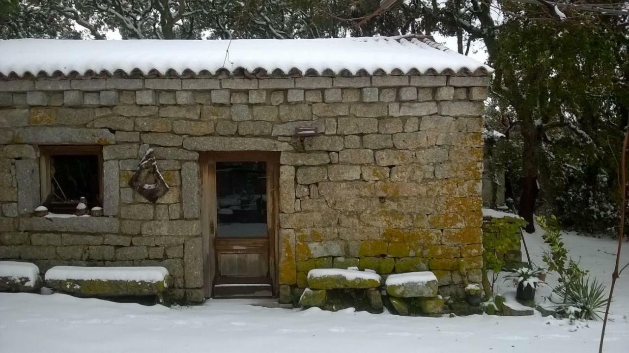 Agriturismo La Vigna Tempio Pausania Kültér fotó