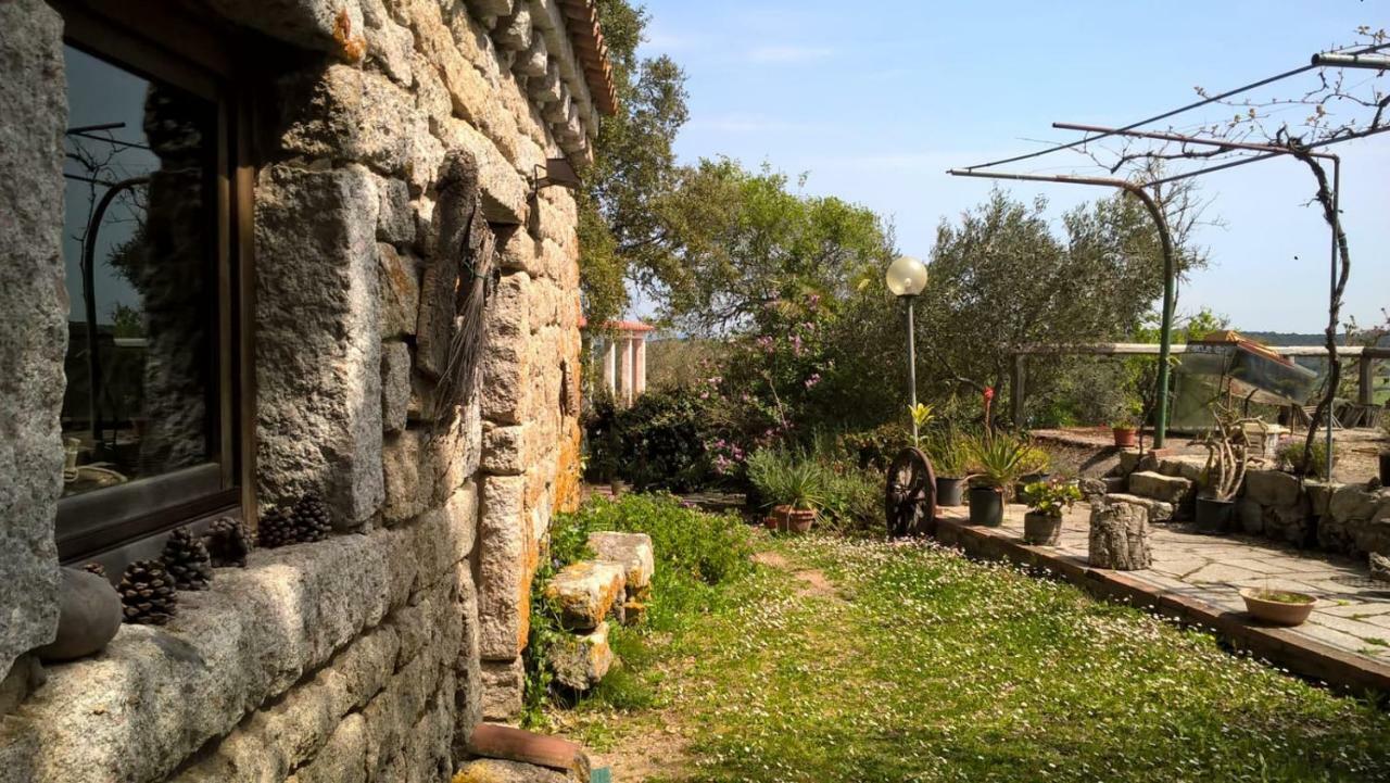 Agriturismo La Vigna Tempio Pausania Kültér fotó