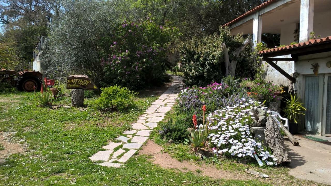 Agriturismo La Vigna Tempio Pausania Kültér fotó